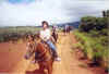 Paulette follows through the pineapple field.